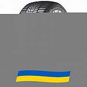 225/60 R18 Hankook Winter i*cept evo3 X W330A 104V Позашляхова шина Київ