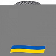 265/60 R18 Fortune Snowfun FSR-901 114H Легковая шина Київ