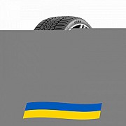 245/50 R19 ILink Snowgripper I 105H Легковая шина Київ
