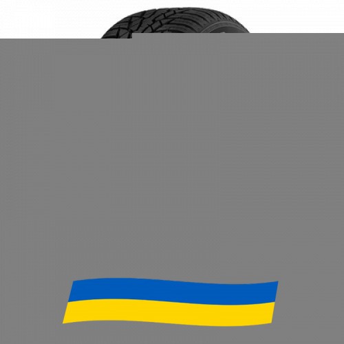 225/45 R17 Nokian WR D4 94V Легкова шина Київ - изображение 1