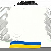 620/75 R30 Bridgestone VT-TRACTOR VF 169/166D/E Сельхоз шина Киев