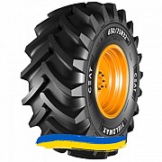 620/75R26 Ceat YIELDMAX 166A8 Сельхоз шина Київ