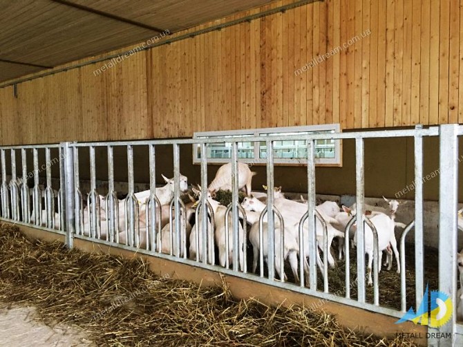 Стійлове обладнання для утримання кіз та овець MetallDreamUA Киев - изображение 1