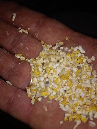 Побічні продукти та відходи з кукурудзи на продаж Харьков - изображение 1