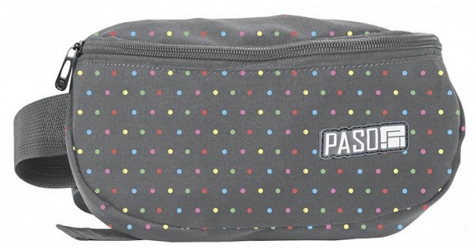Женская сумка на пояс, бананка Paso PPMQ19-510 Київ - изображение 1