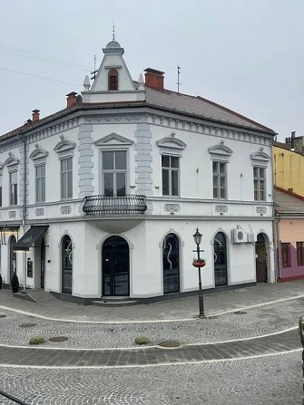 Продам приміщення в центрі міста Ужгород Ужгород - изображение 1