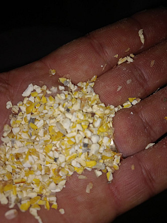 Продам побічний продукт кукурудзи, зерновідходи Полтава - изображение 1