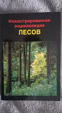 Иллюстрированная энциклопедия лесов Киев